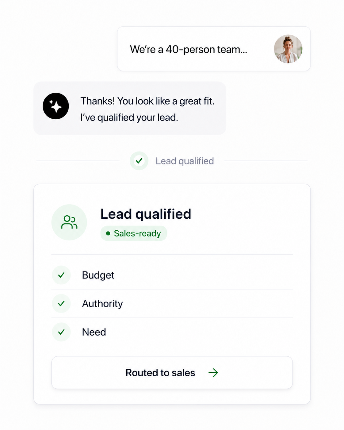 The AI sales agent qualifying an inbound lead in chat